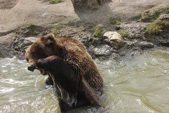 Trobada aleatòria aleatòria - Experiències insòlites a Ecozonia