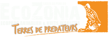 ECOZONIA Lands of Predators