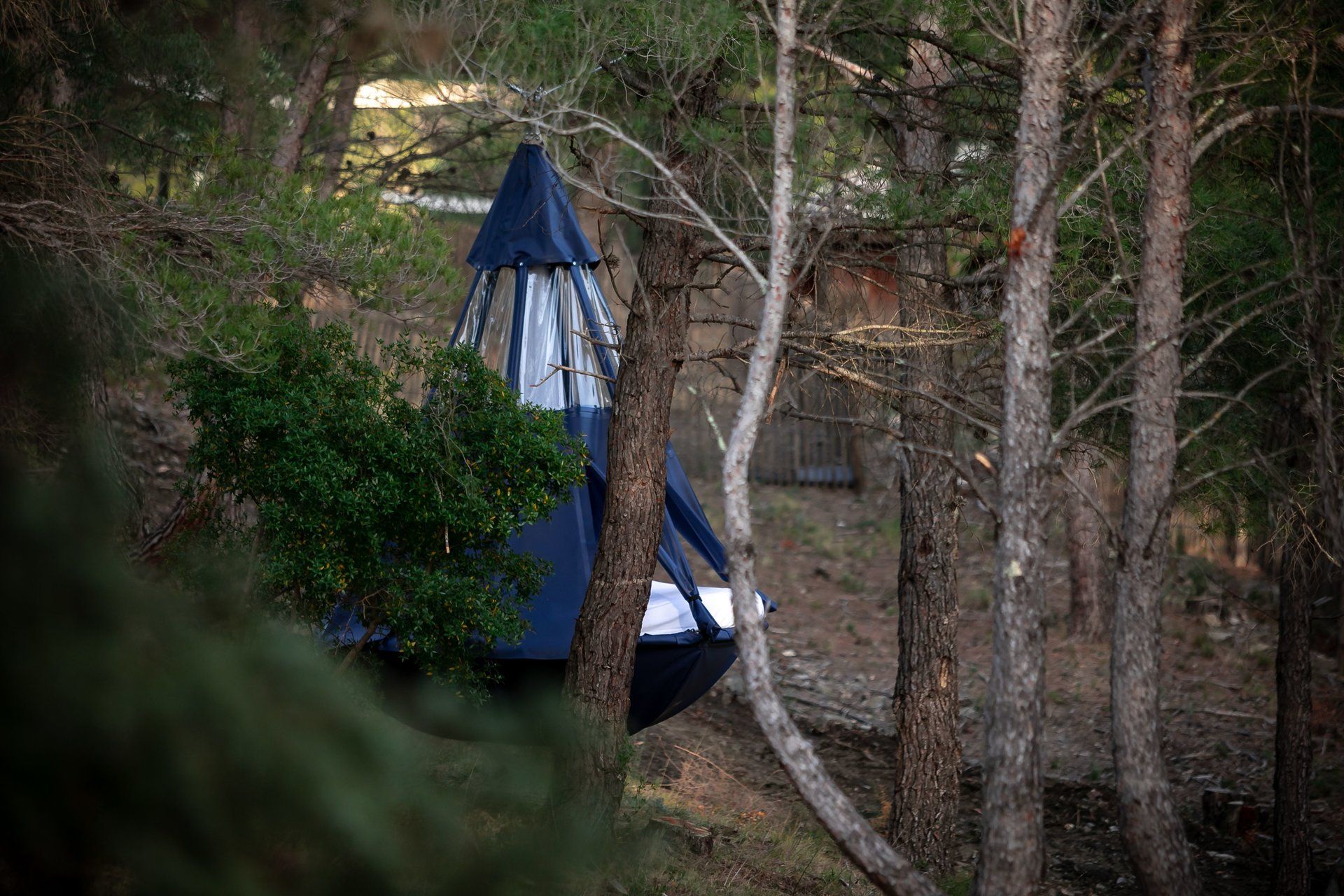 Sleep to the sounds of predators - Bivouac Experience at EcoZonia