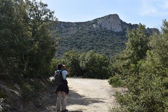   - Unusual experiences in Ecozonia